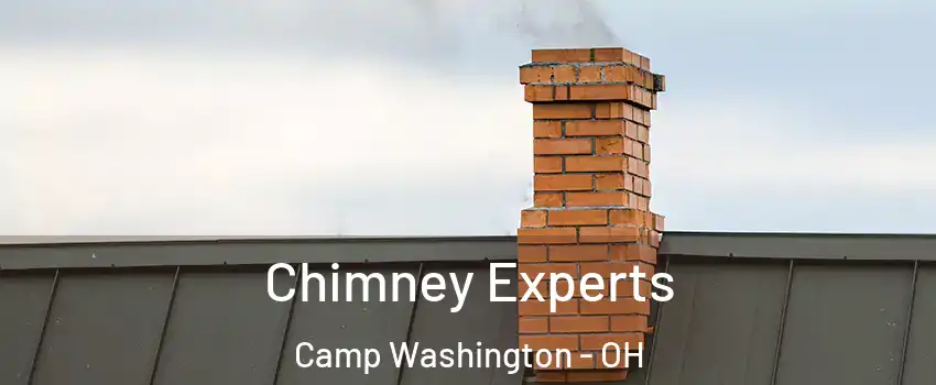 Chimney Experts Camp Washington - OH