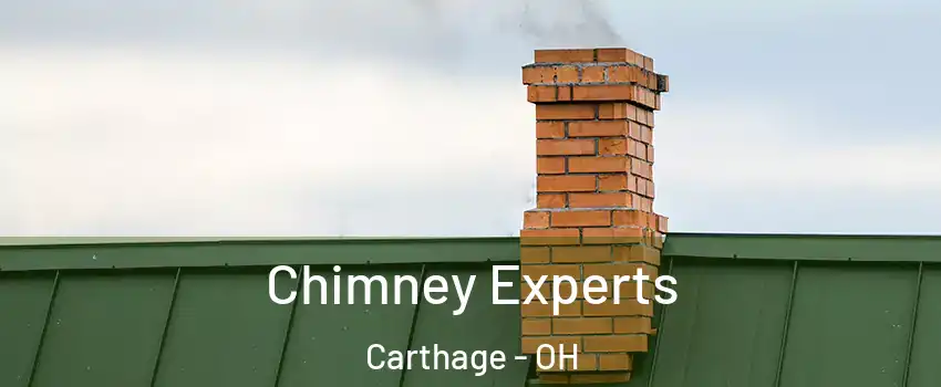 Chimney Experts Carthage - OH