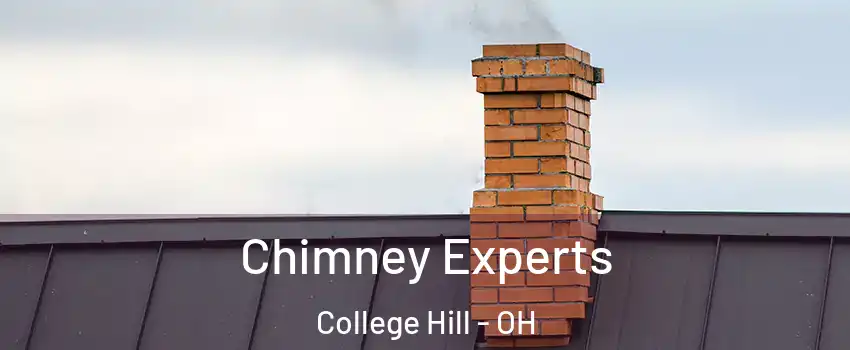 Chimney Experts College Hill - OH