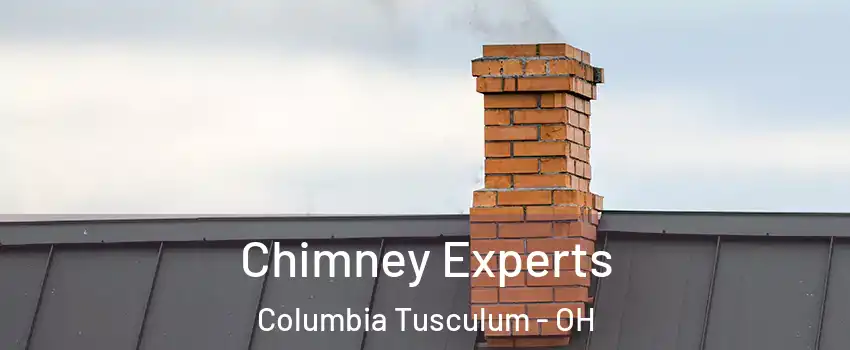 Chimney Experts Columbia Tusculum - OH