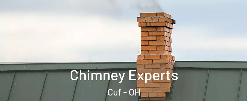 Chimney Experts Cuf - OH