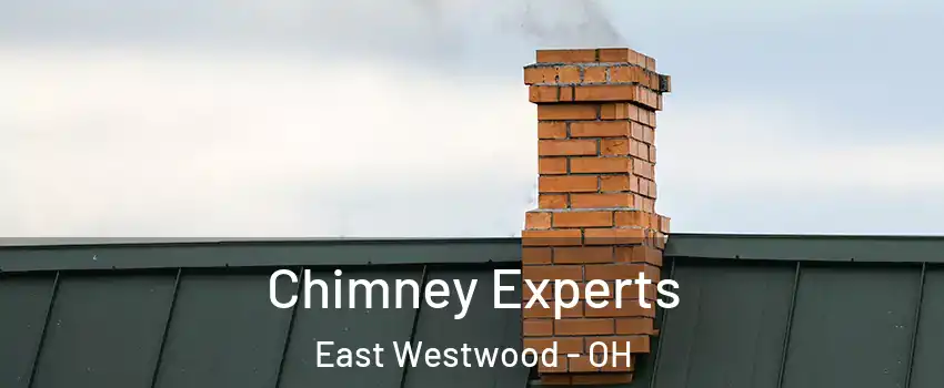 Chimney Experts East Westwood - OH