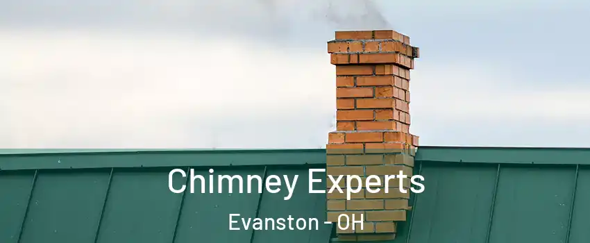 Chimney Experts Evanston - OH