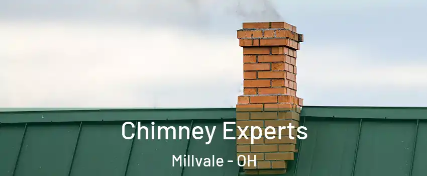 Chimney Experts Millvale - OH