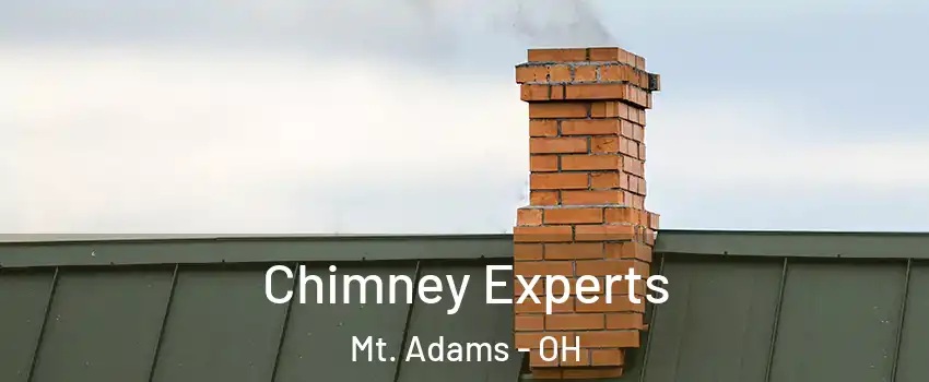 Chimney Experts Mt. Adams - OH