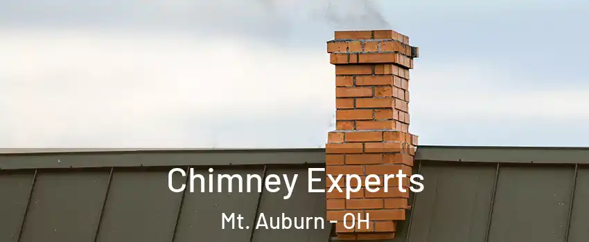 Chimney Experts Mt. Auburn - OH