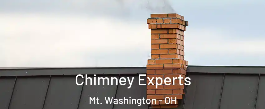 Chimney Experts Mt. Washington - OH