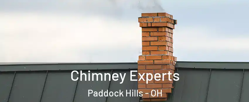 Chimney Experts Paddock Hills - OH