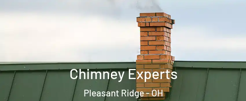 Chimney Experts Pleasant Ridge - OH