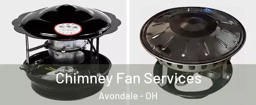 Chimney Fan Services Avondale - OH