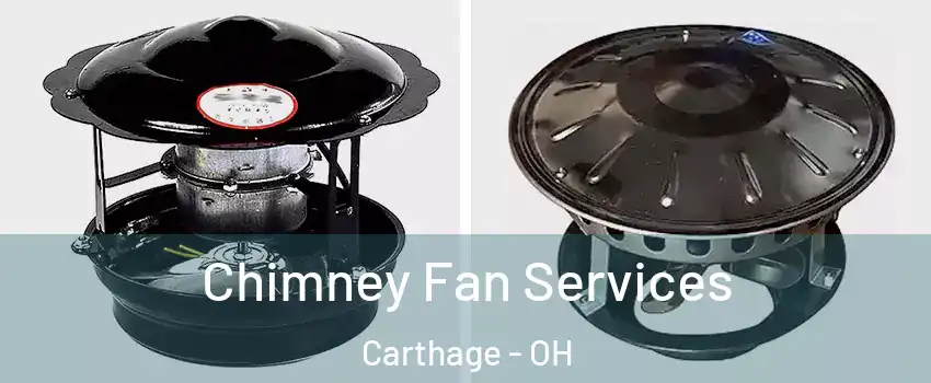 Chimney Fan Services Carthage - OH