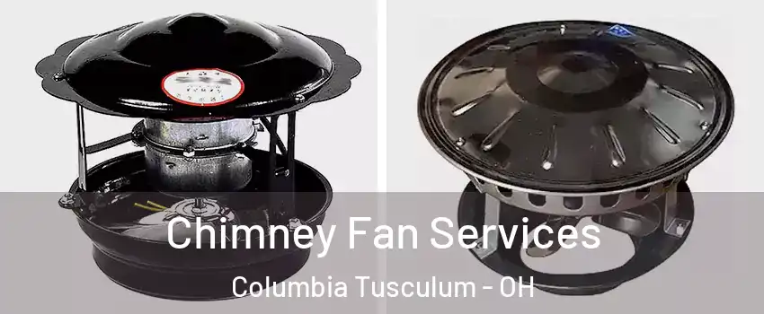 Chimney Fan Services Columbia Tusculum - OH