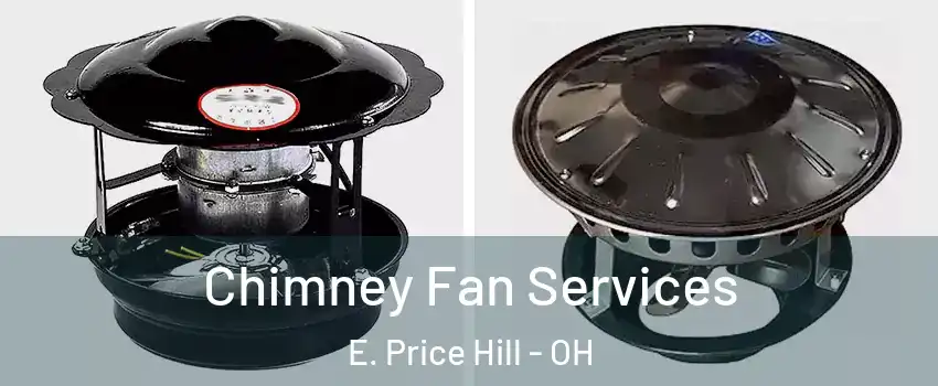 Chimney Fan Services E. Price Hill - OH