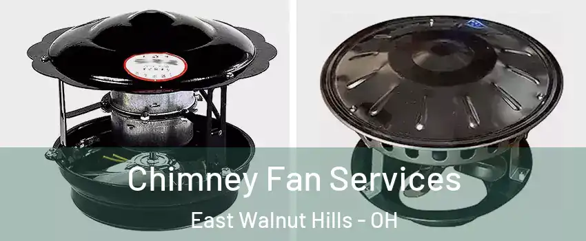 Chimney Fan Services East Walnut Hills - OH