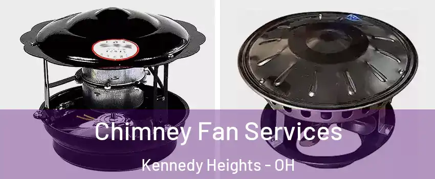 Chimney Fan Services Kennedy Heights - OH