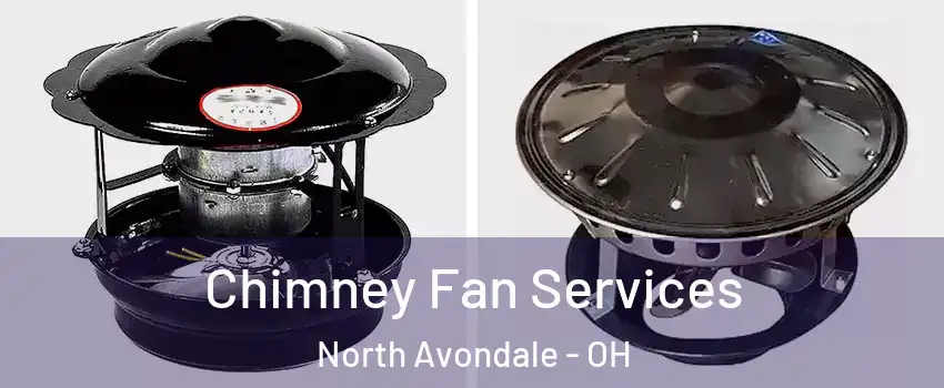 Chimney Fan Services North Avondale - OH