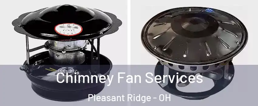 Chimney Fan Services Pleasant Ridge - OH