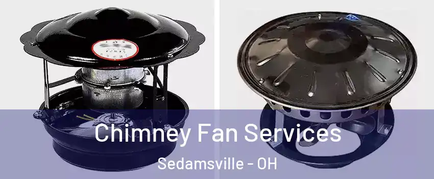 Chimney Fan Services Sedamsville - OH