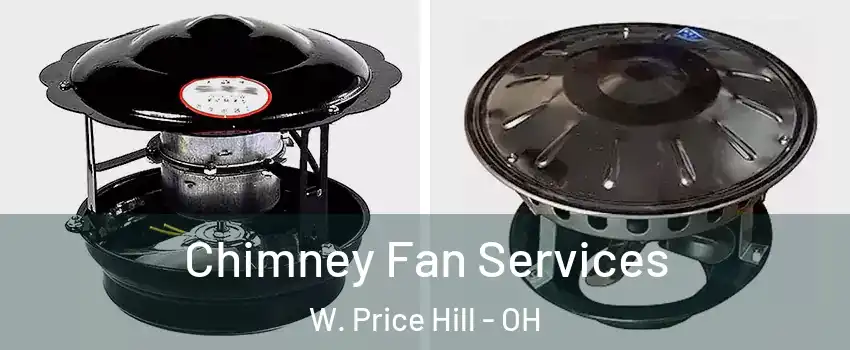 Chimney Fan Services W. Price Hill - OH