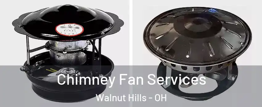 Chimney Fan Services Walnut Hills - OH