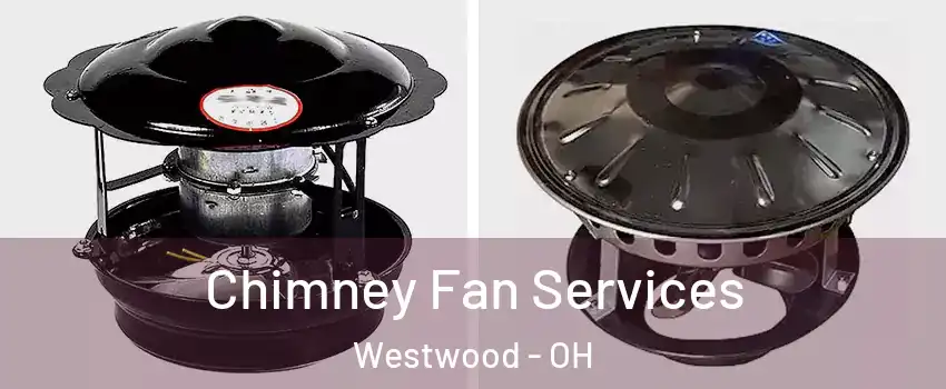 Chimney Fan Services Westwood - OH