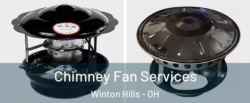 Chimney Fan Services Winton Hills - OH