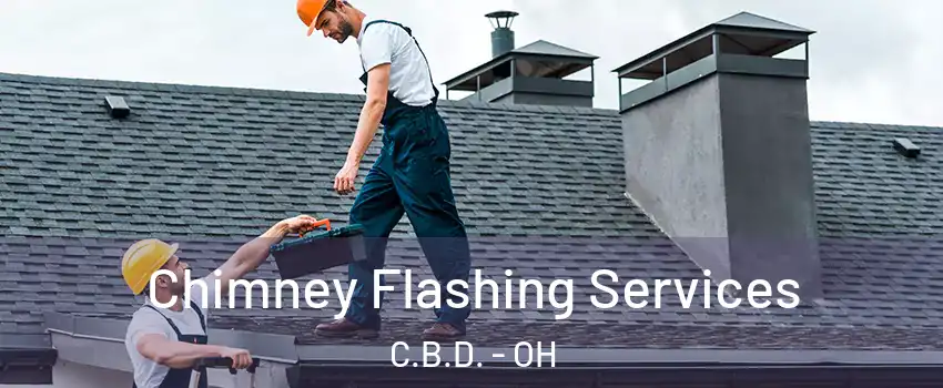 Chimney Flashing Services C.B.D. - OH