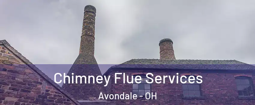 Chimney Flue Services Avondale - OH