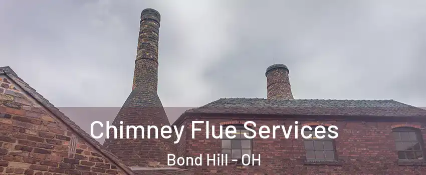 Chimney Flue Services Bond Hill - OH