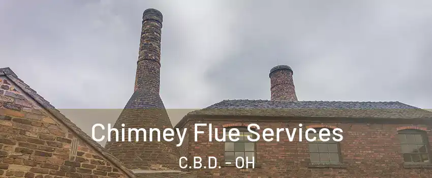 Chimney Flue Services C.B.D. - OH