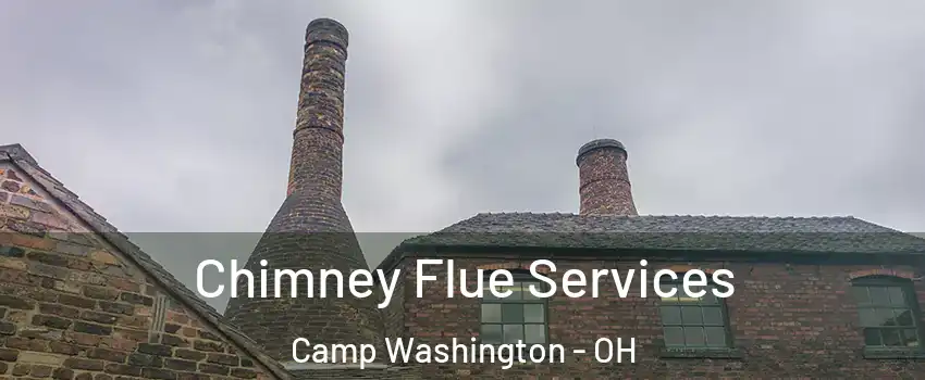 Chimney Flue Services Camp Washington - OH