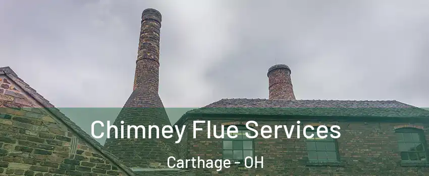 Chimney Flue Services Carthage - OH