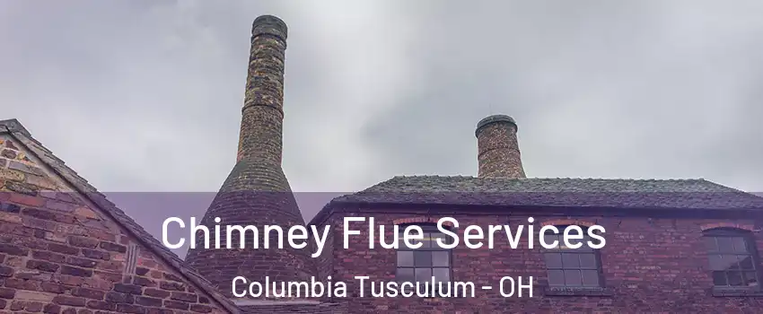 Chimney Flue Services Columbia Tusculum - OH