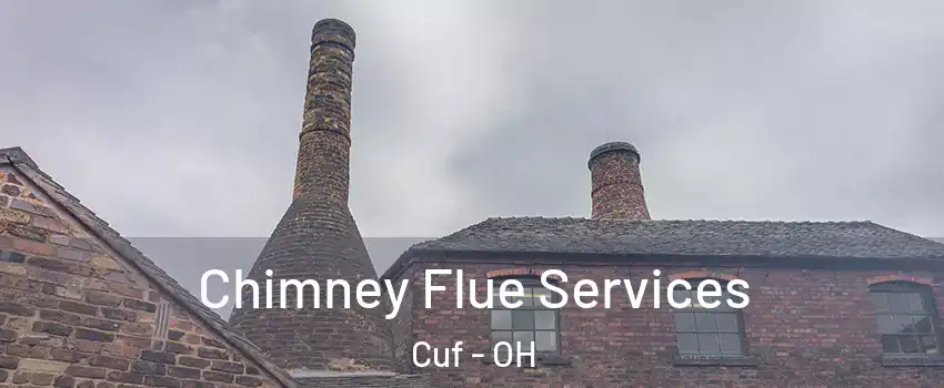 Chimney Flue Services Cuf - OH