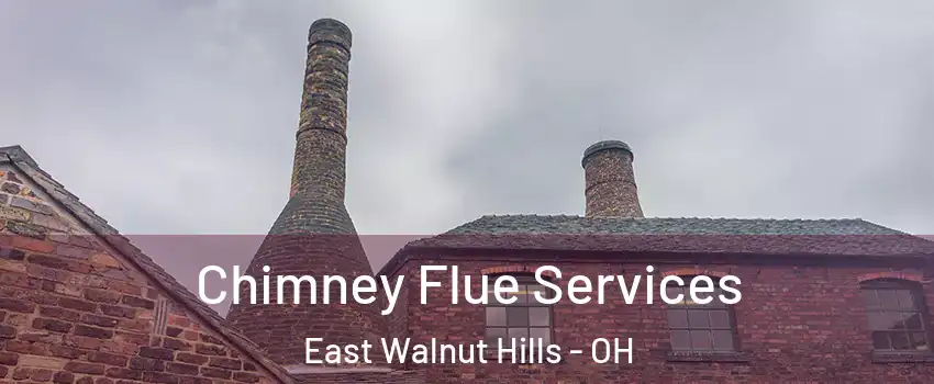 Chimney Flue Services East Walnut Hills - OH