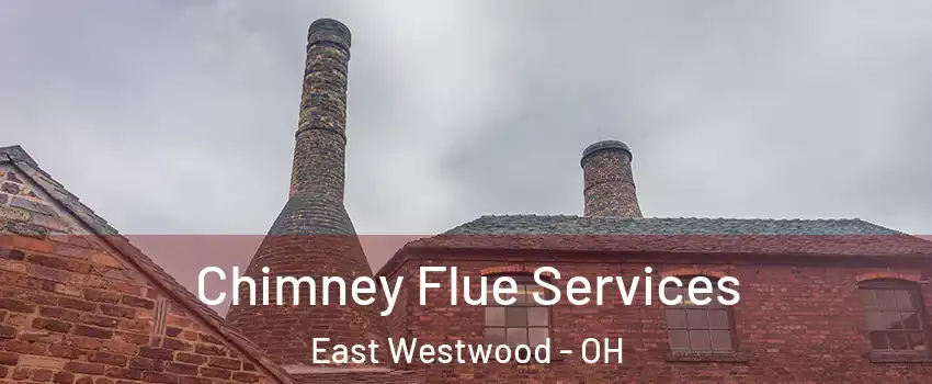 Chimney Flue Services East Westwood - OH