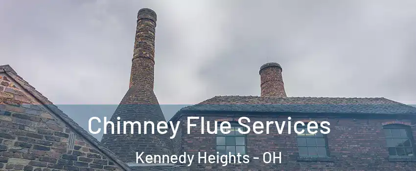 Chimney Flue Services Kennedy Heights - OH