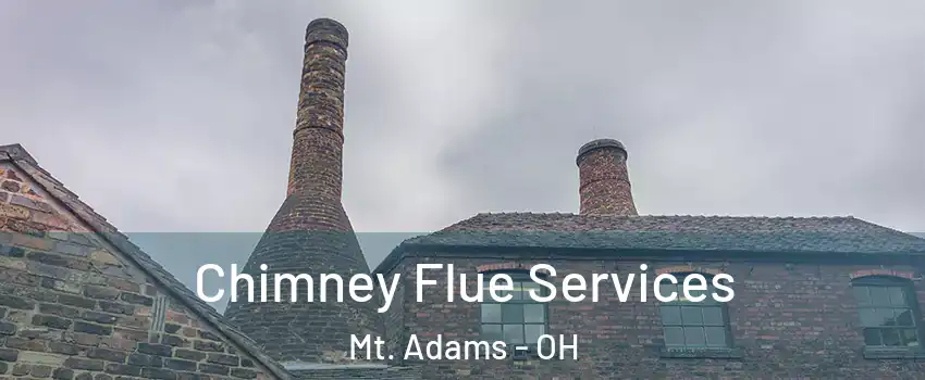 Chimney Flue Services Mt. Adams - OH