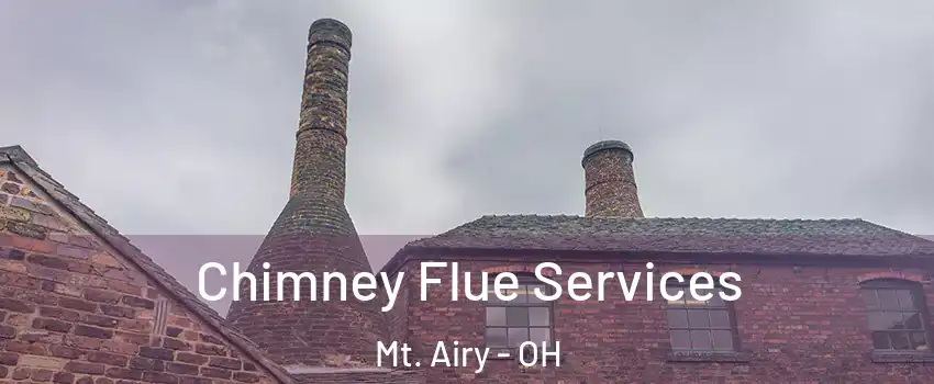 Chimney Flue Services Mt. Airy - OH