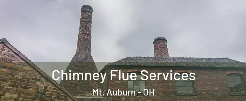 Chimney Flue Services Mt. Auburn - OH