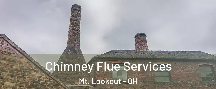 Chimney Flue Services Mt. Lookout - OH