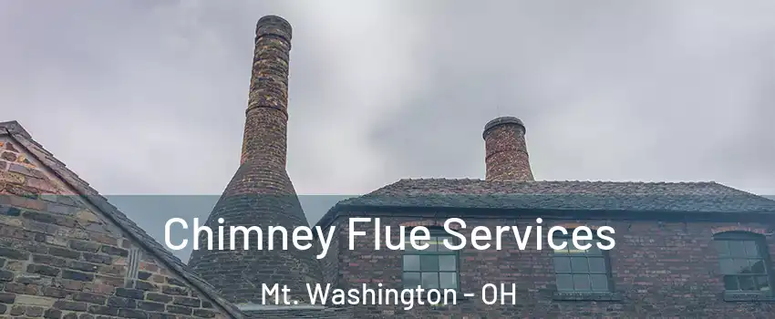 Chimney Flue Services Mt. Washington - OH