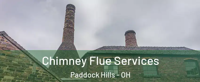 Chimney Flue Services Paddock Hills - OH