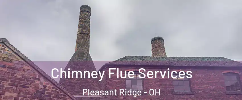 Chimney Flue Services Pleasant Ridge - OH