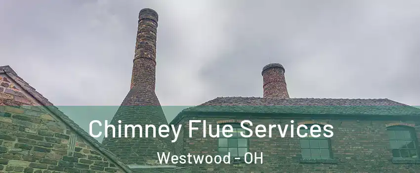 Chimney Flue Services Westwood - OH