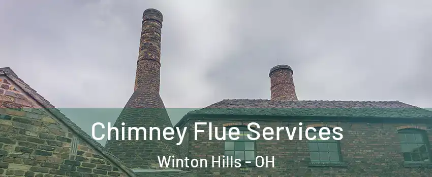 Chimney Flue Services Winton Hills - OH