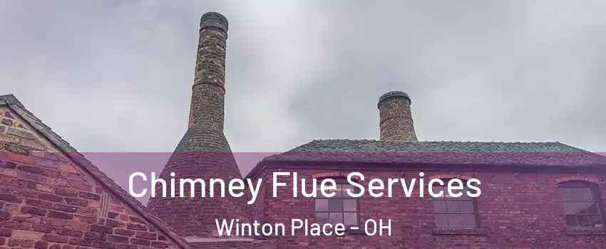 Chimney Flue Services Winton Place - OH