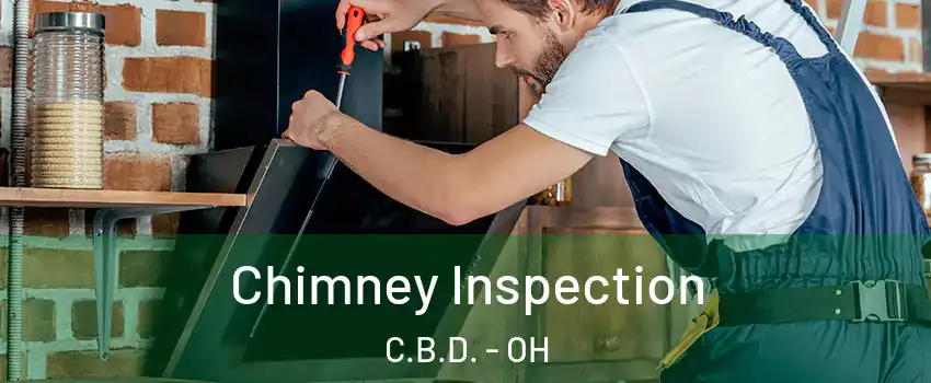 Chimney Inspection C.B.D. - OH