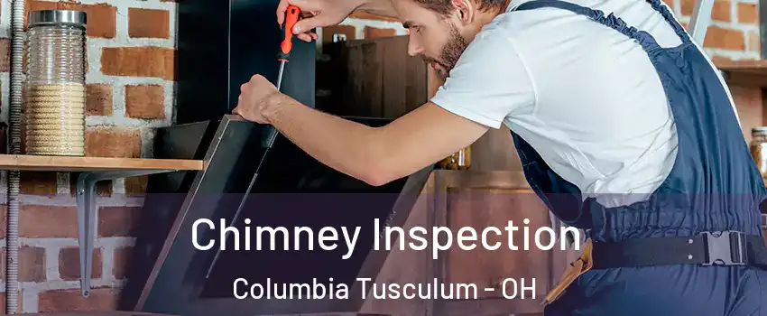 Chimney Inspection Columbia Tusculum - OH