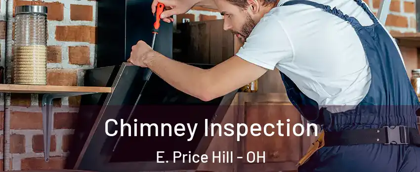 Chimney Inspection E. Price Hill - OH